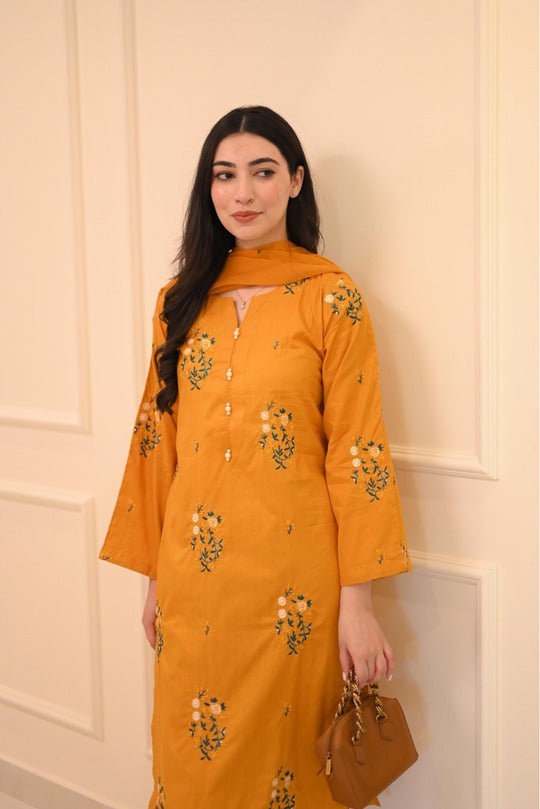 AYESHA B EMBERIDERY 2PC